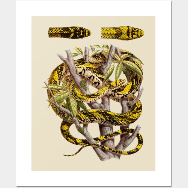 Vintage Snake ilustration Wall Art by Dystopianpalace